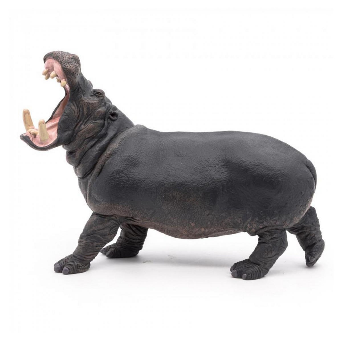 Papo 50051 figurine Hippopotame adulte