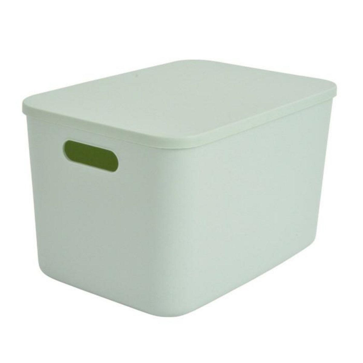 Paris Prix Boîte de Rangement Avec Couvercle  Iris  15,5L Sauge