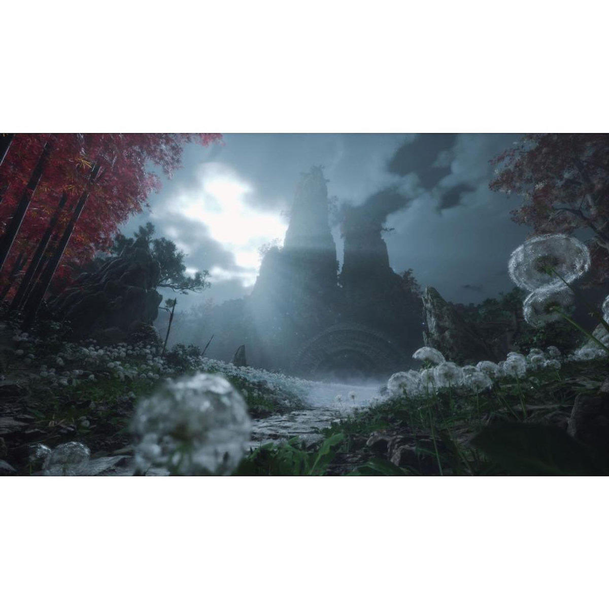 Just for games WUCHANG: Fallen Feathers - Jeu PS5