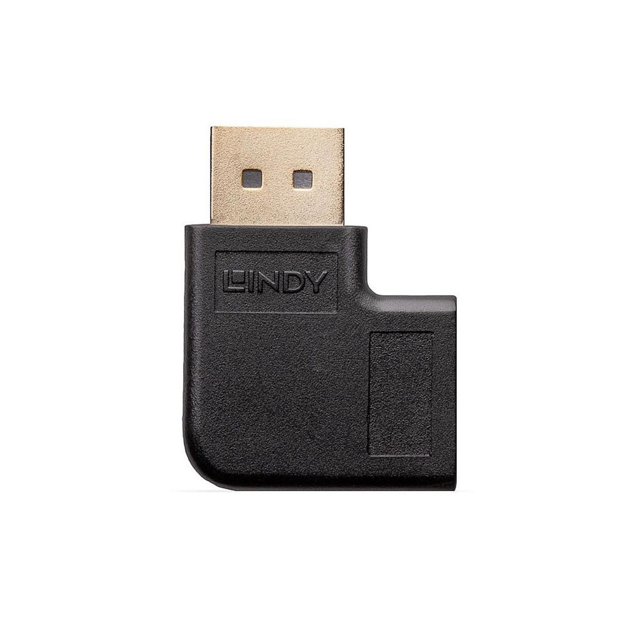 Voir la diapositive 3 : LINDY Lindy 41333 changeur de genre de câble DisplayPort Noir