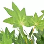 VIDAXL Plante artificielle d'erable avec pot Vert 120 cm