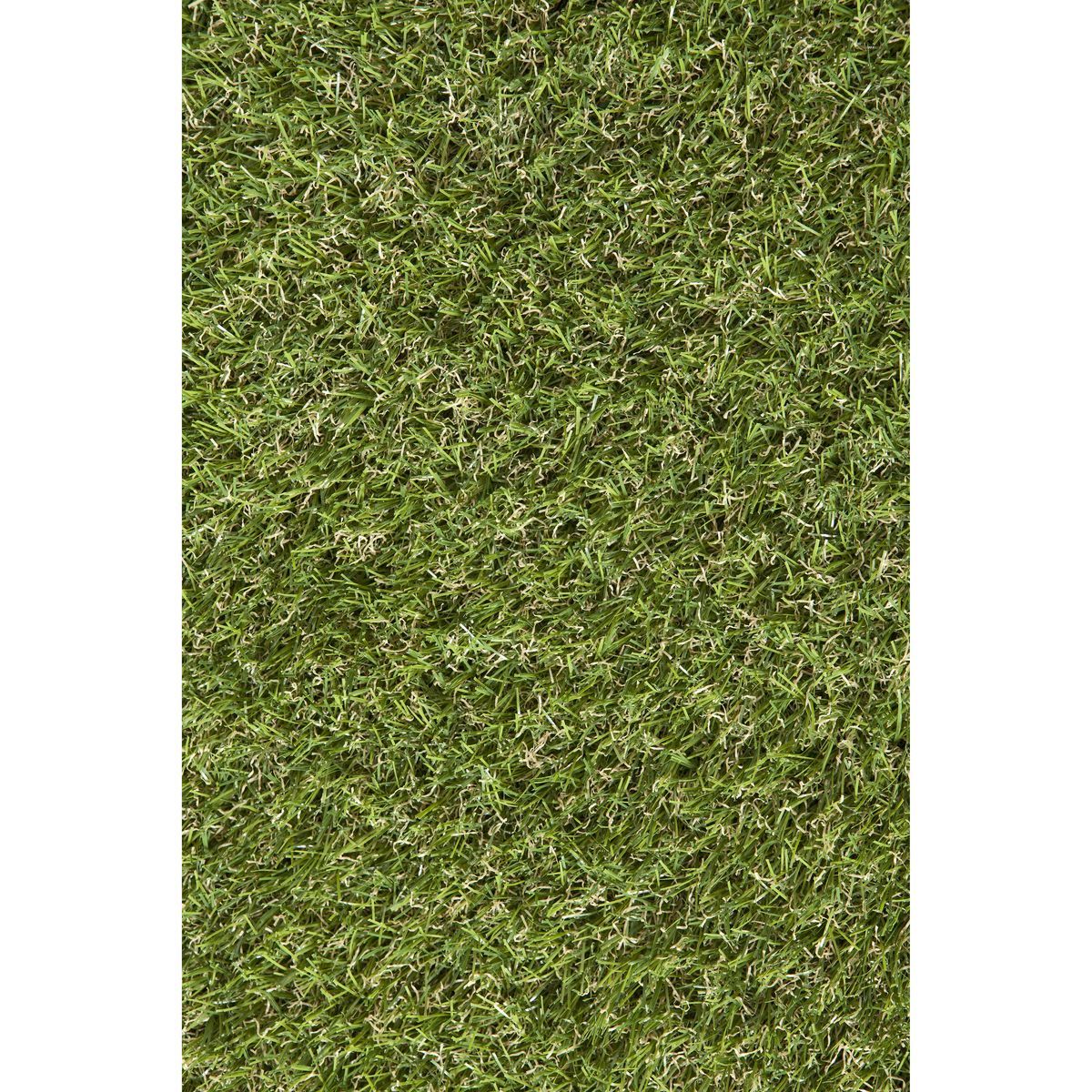 Catral Gazon artificiel CALPE 20mm 2x20m