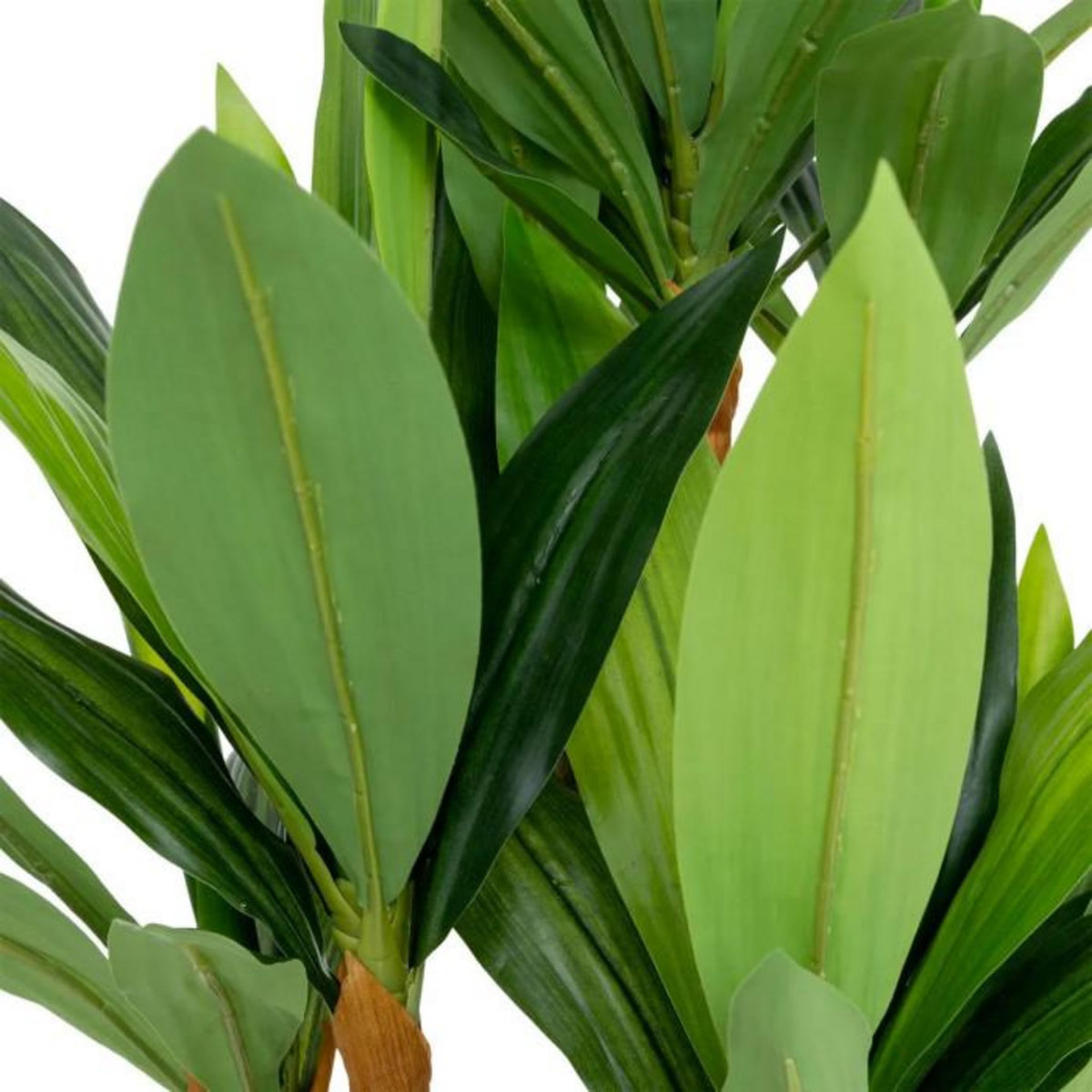 ATMOSPHERA Plante Artificielle Dracena  Onia  105cm Vert