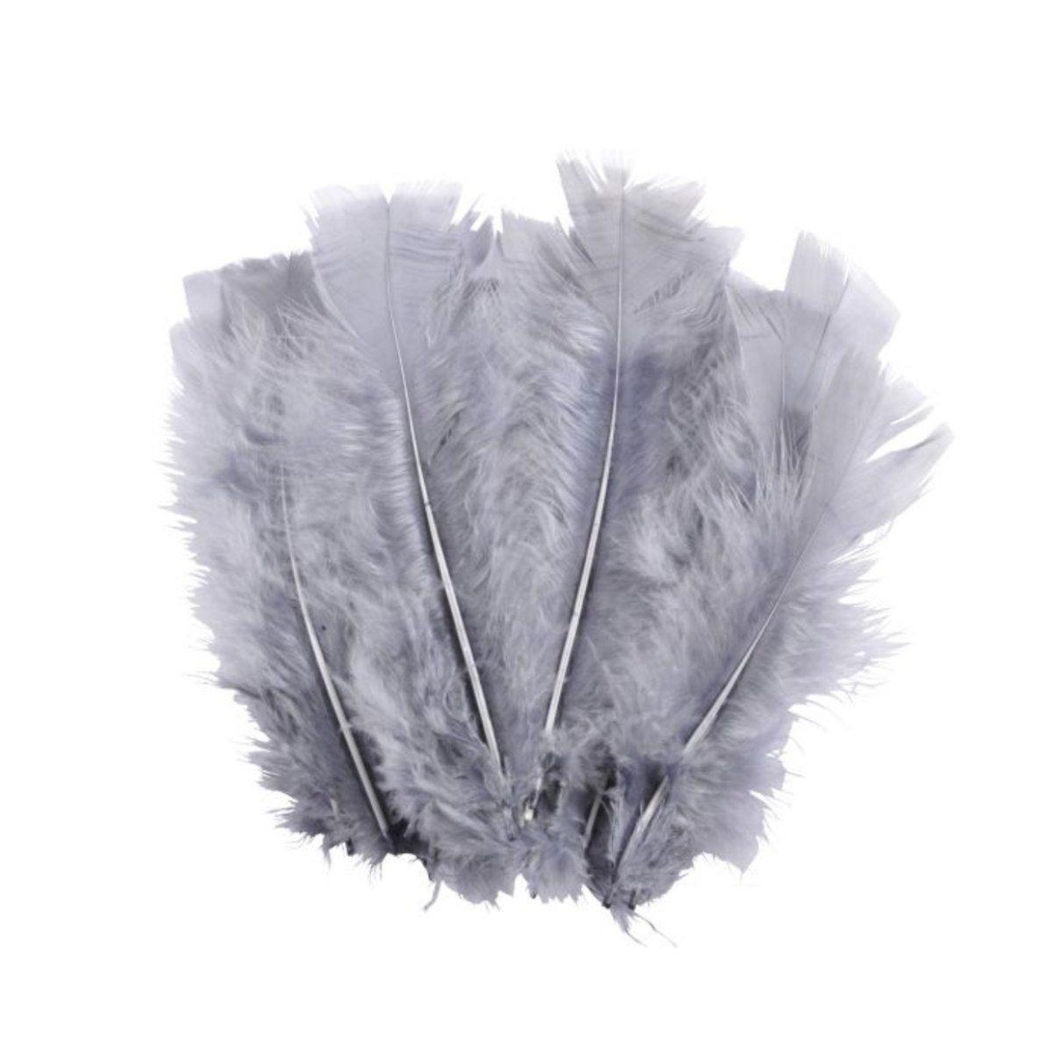 HOMEA Lot de 35 Plumes Décoratives  Sensa  16cm Gris Perle