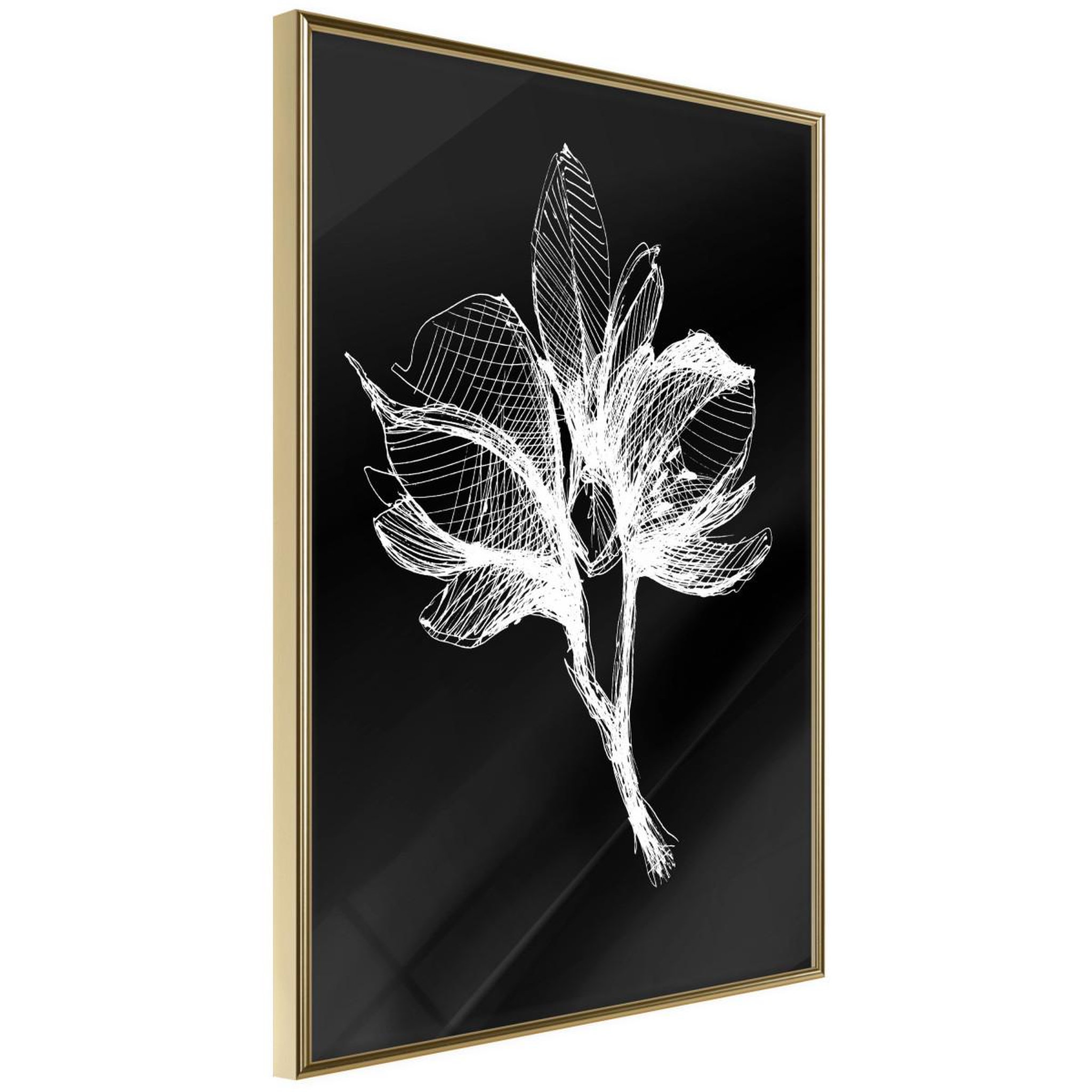 Voir la diapositive 1 : Paris Prix Affiche Murale Encadrée  White Plant