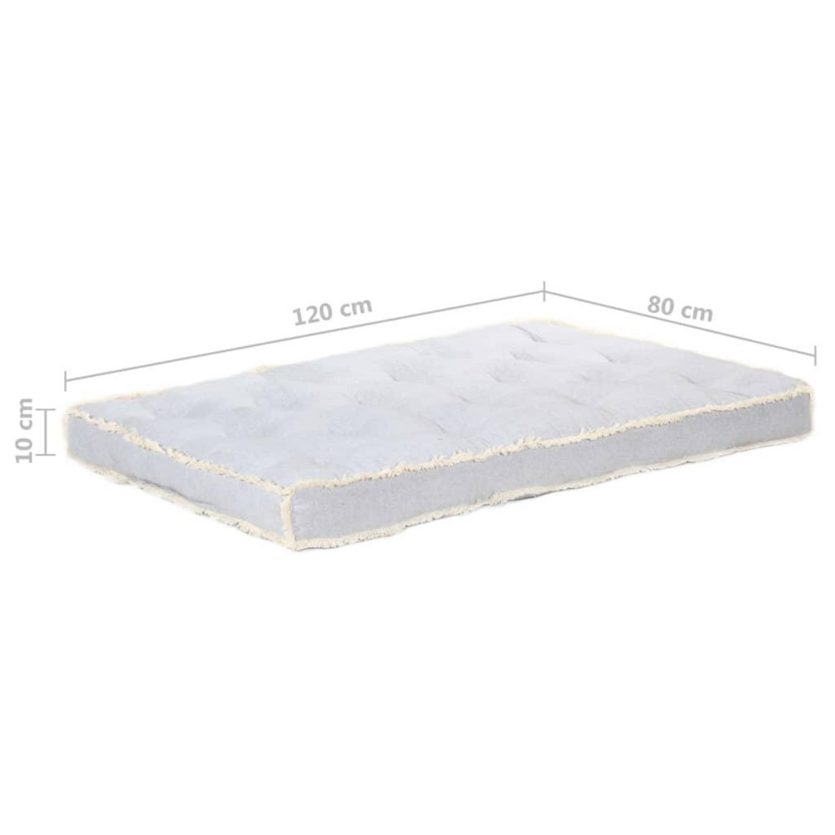 VIDAXL Coussin de canape palette Gris 120x80x10 cm