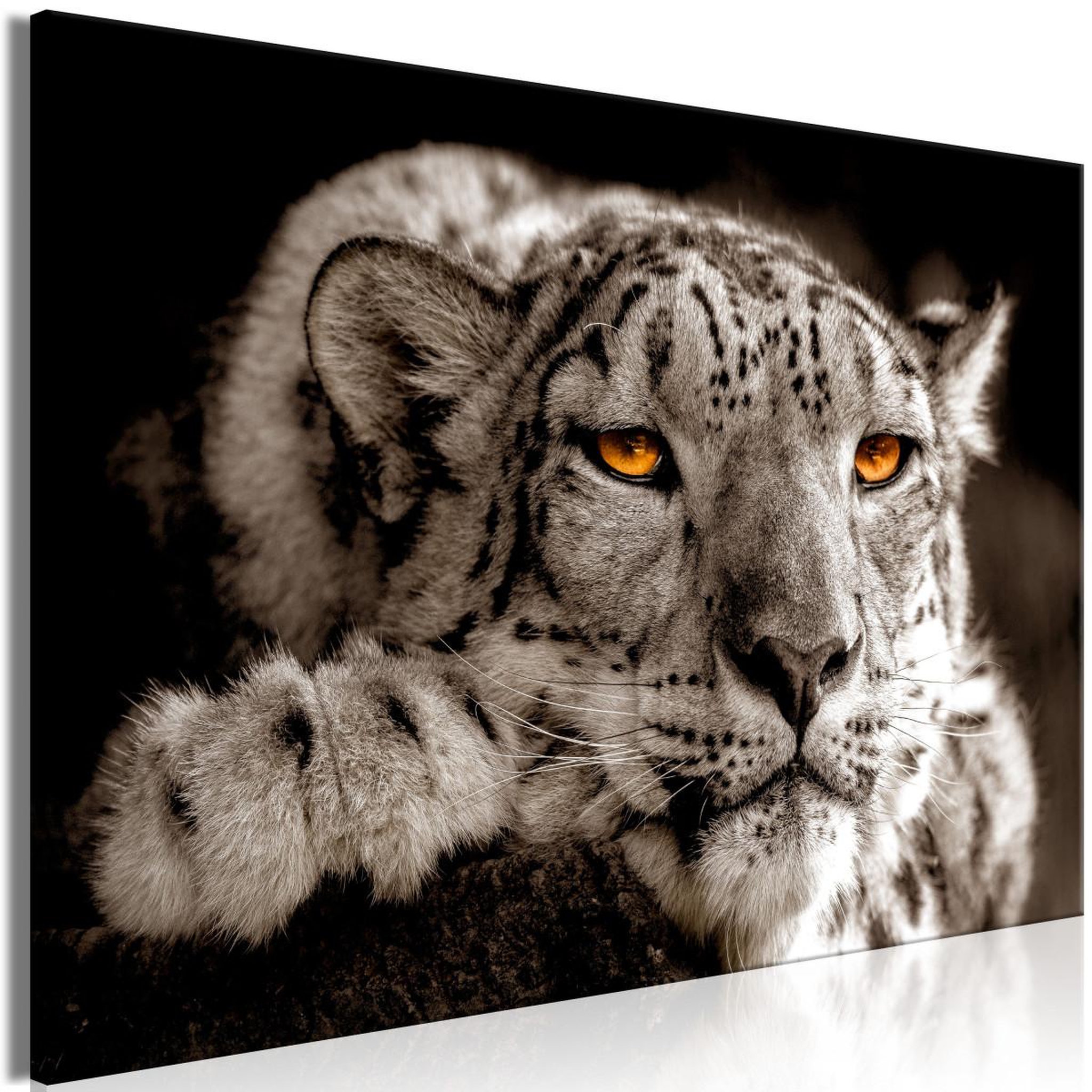 Paris Prix Tableau imprimé  magic eyes wide. Coloris disponibles : Multicolore