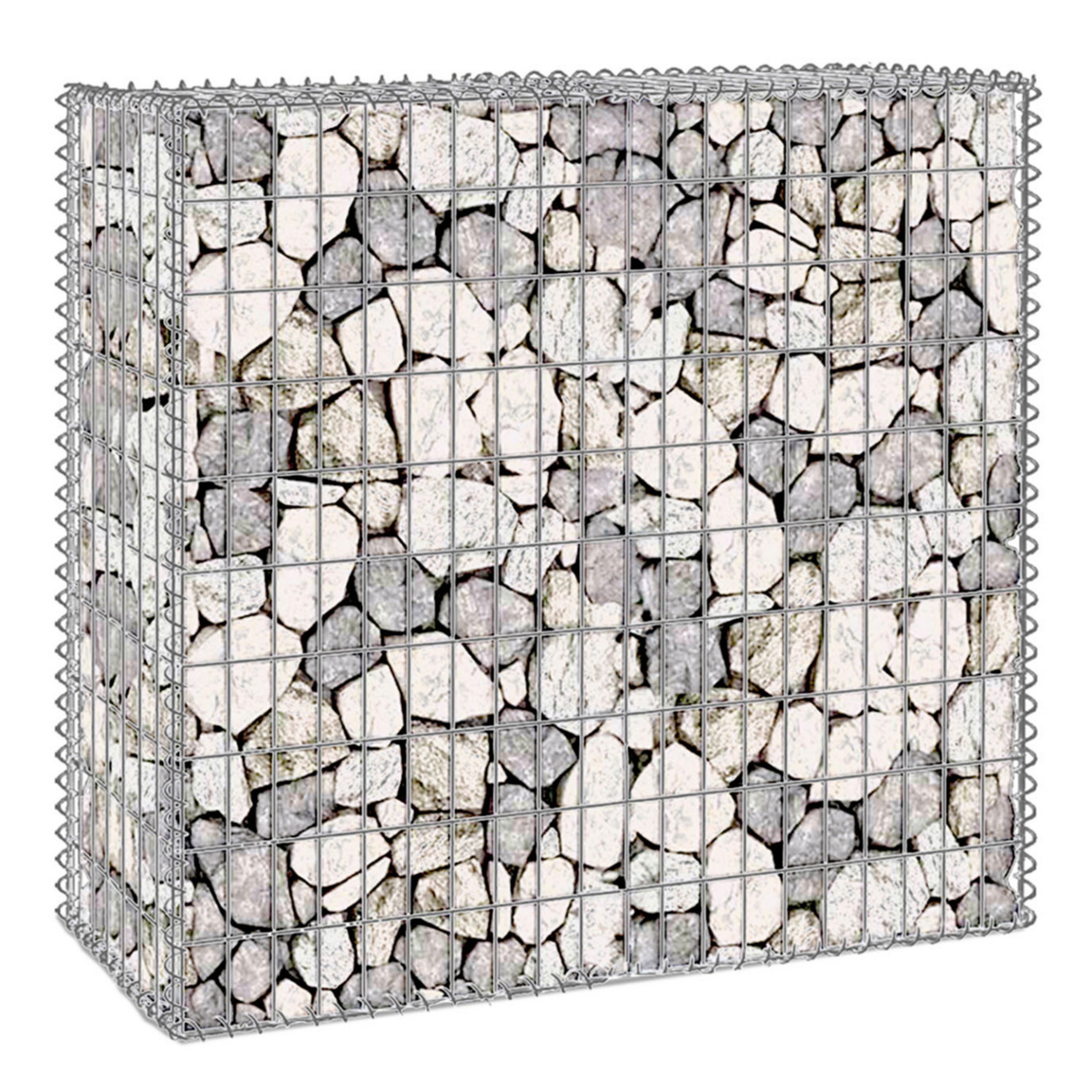 ID MARKET Lot de 2 gabions pour pierre 100 x 30 x 80 cm