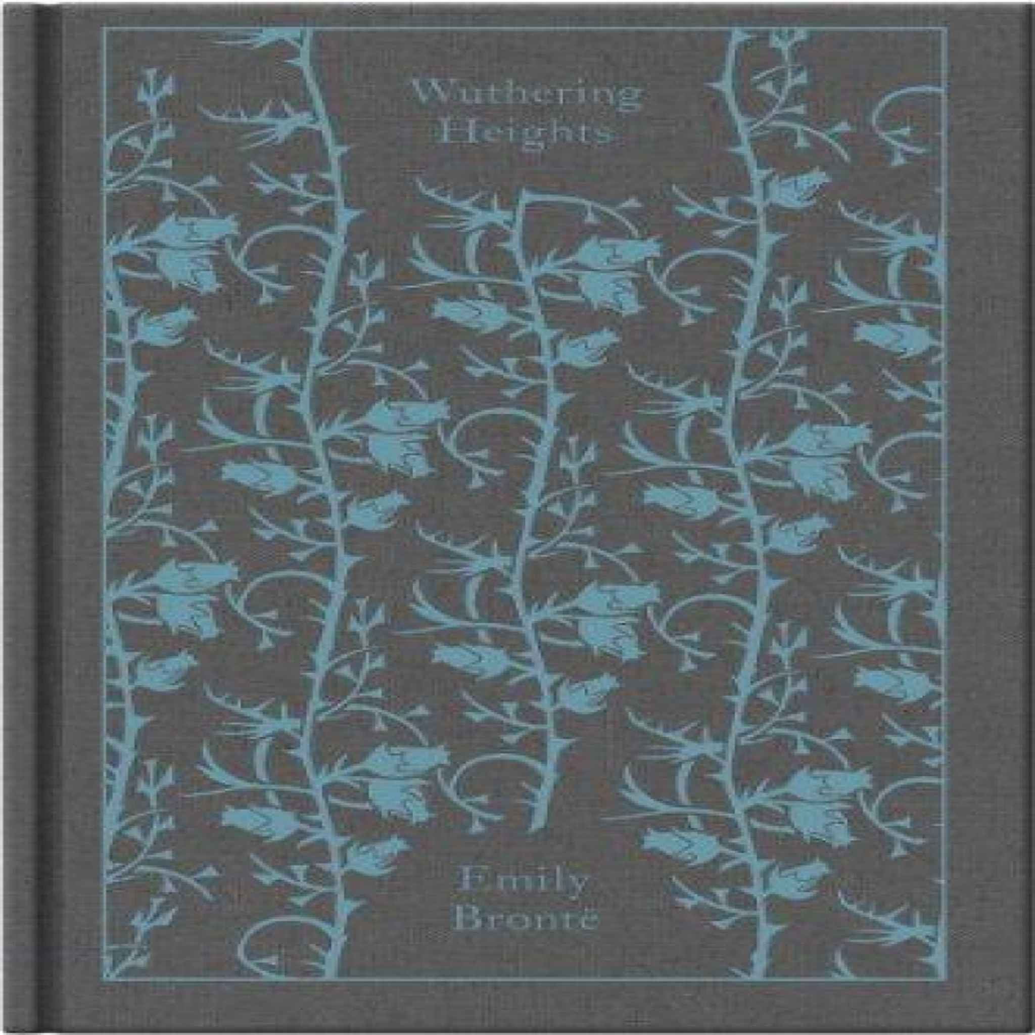 LIVRES Wuthering Heights - Emily BrontÃ«