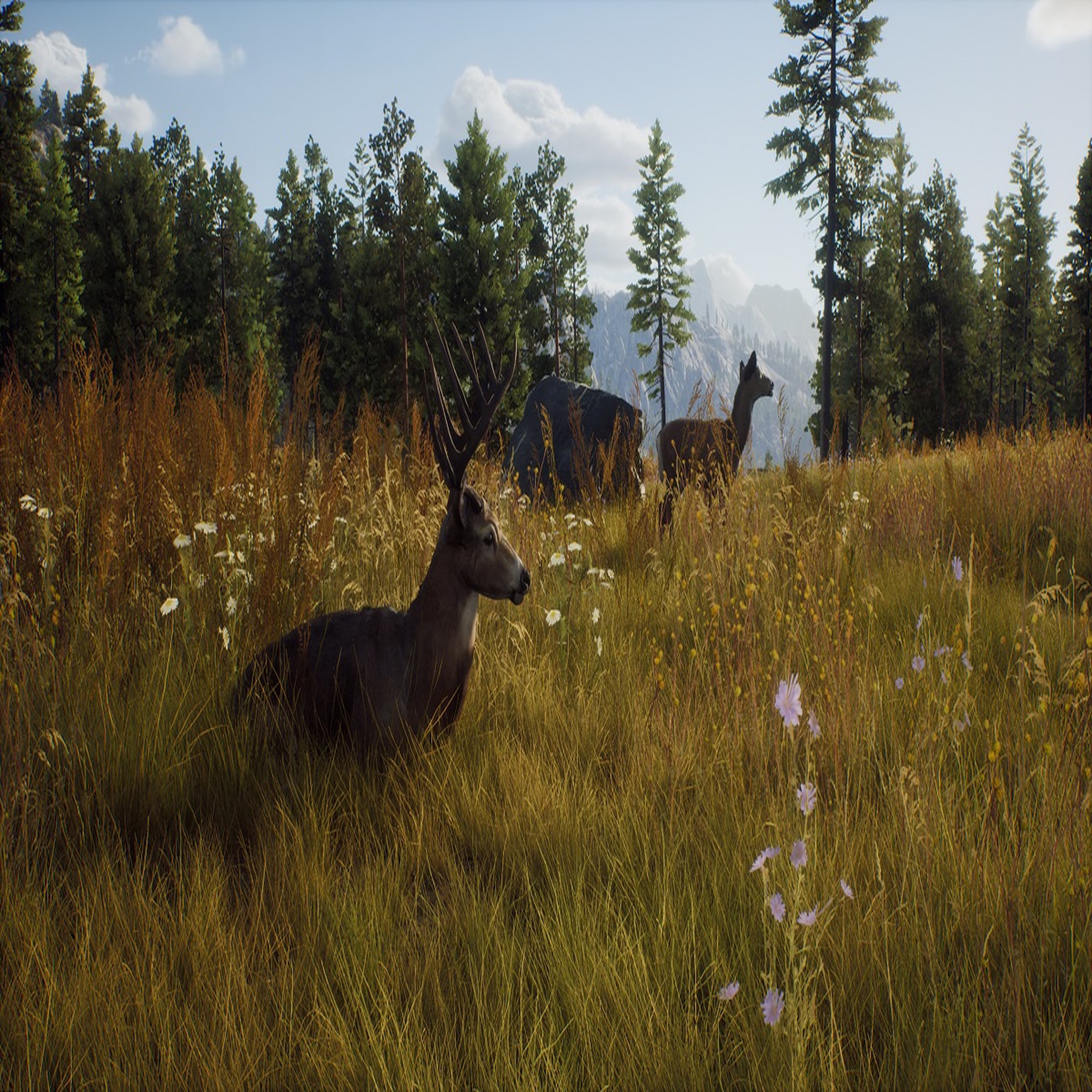 Voir la diapositive 7 : Way Of The Hunter PS5