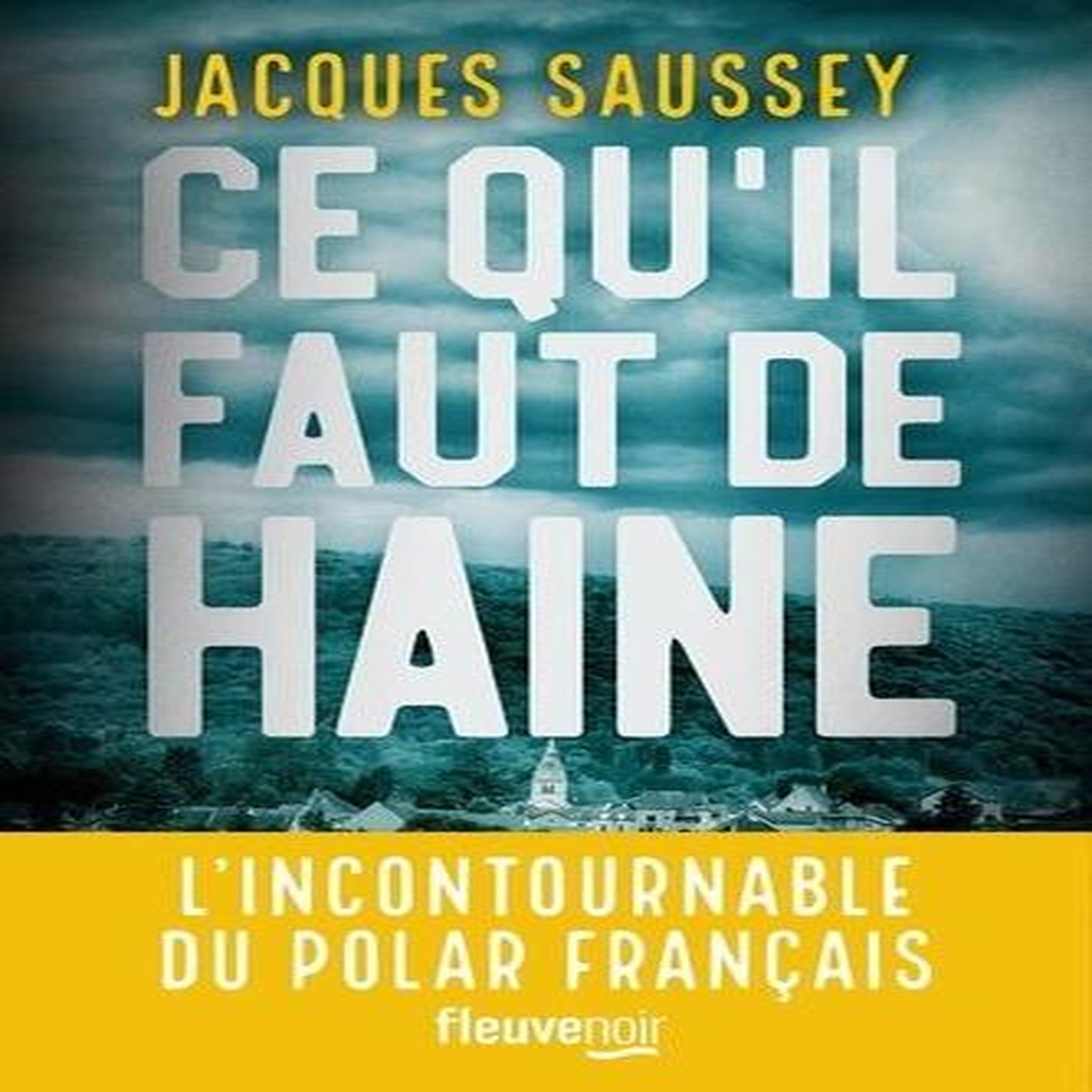 CE QU'IL FAUT DE HAINE, Saussey Jacques