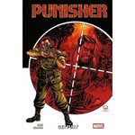 PUNISHER. GET FURY, Ennis Garth