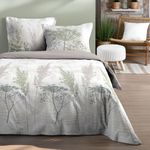 STOF Housse de couette 240x220 GRETA + 2 taies coton 57 fils