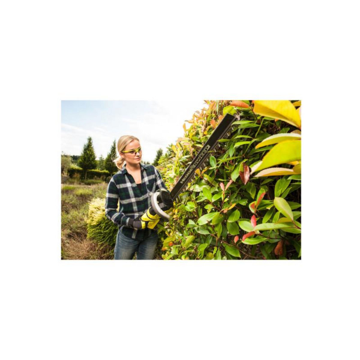 Ryobi Taille-haies RYOBI 36V - 1 batterie 2,0 Ah - 1 chargeur - RHT36C61R20S