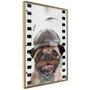Voir la diapositive 1 : Paris Prix Affiche Murale Encadrée  Dressed Up Pug
