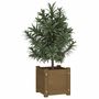 Voir la diapositive 3 : VIDAXL Jardiniere exterieur Marron miel 31x31x31 cm Bois de pin massif