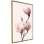 Voir la diapositive 1 : Paris Prix Affiche Murale Encadrée  Blooming Magnolias III