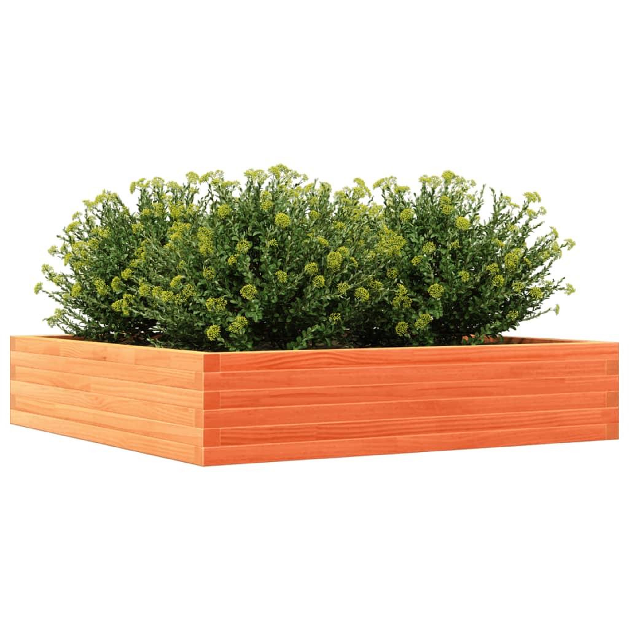 Voir la diapositive 4 : VIDAXL Jardiniere cire marron 110x110x23 cm bois de pin massif