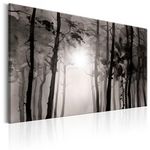 Paris Prix Tableau Imprimé  Foggy Forest. Coloris disponibles : Multicolore