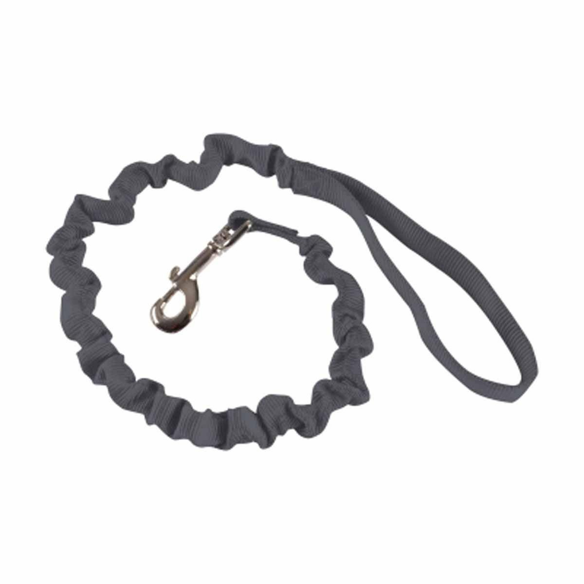 HOMEA Laisse chien anti à coups  essentiel  120cm anthracite