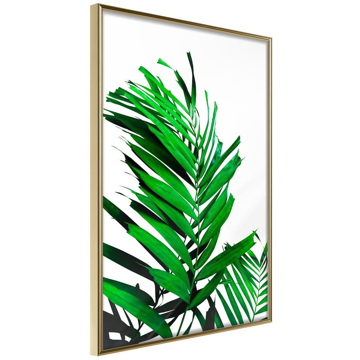 Paris Prix Affiche Murale Encadrée  Emerald Palm