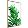 Voir la diapositive 1 : Paris Prix Affiche Murale Encadrée  Emerald Palm