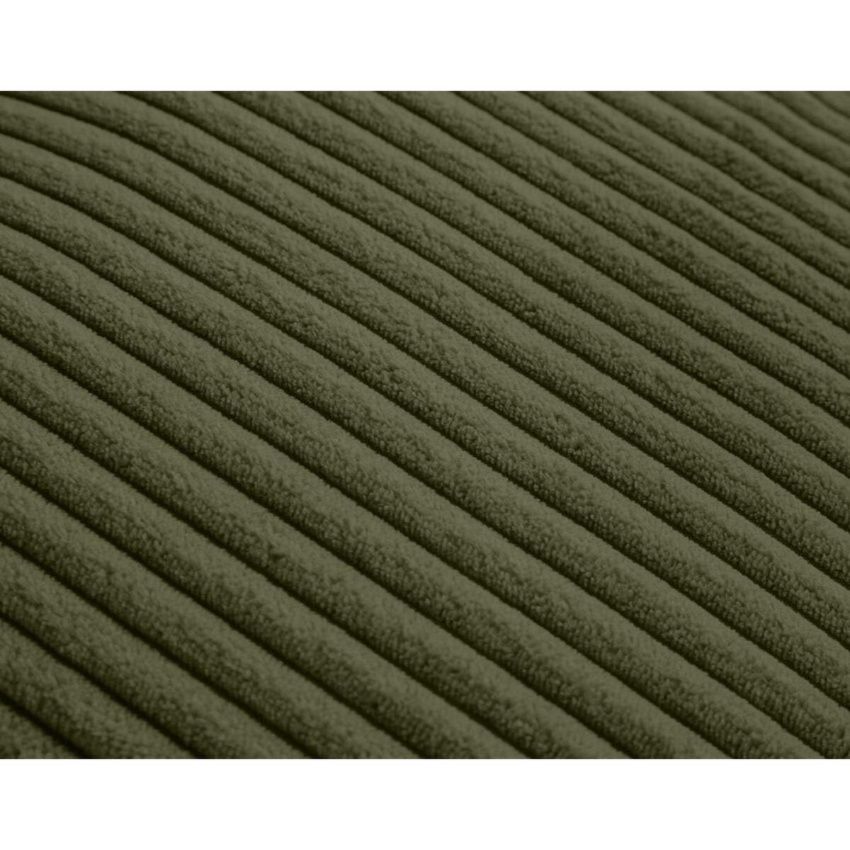 LISA DESIGN Garance - module d'assise 2 places - en velours côtelé