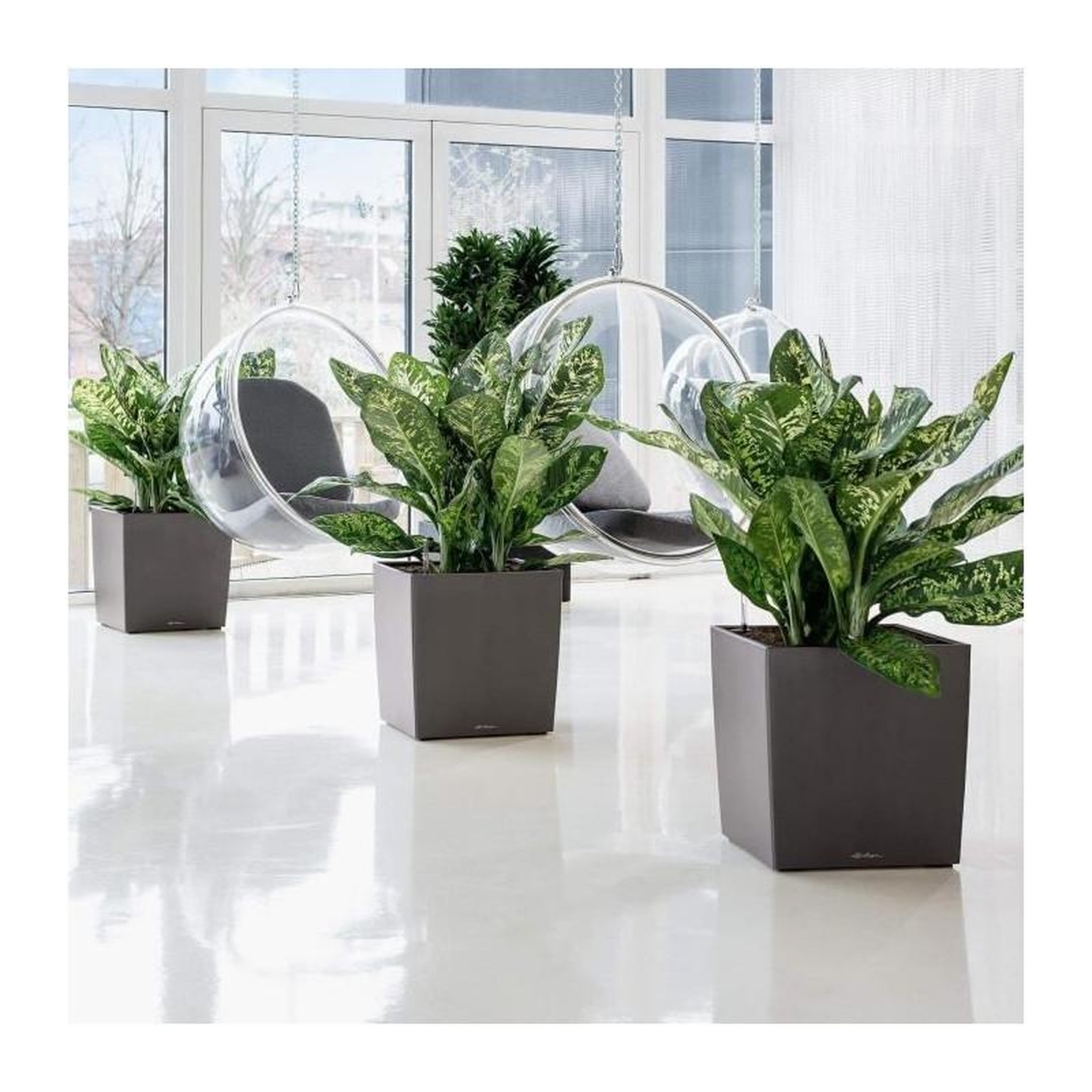 Voir la diapositive 4 : LECHUZA Cube Premium 50 - Kit Complet, blanc brillant 50 cm