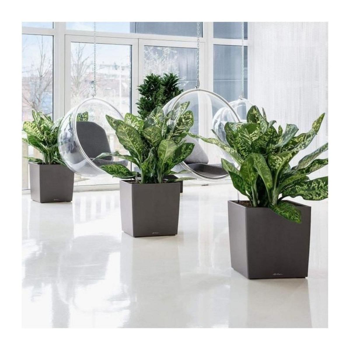 LECHUZA Cube Premium 50 - Kit Complet, blanc brillant 50 cm