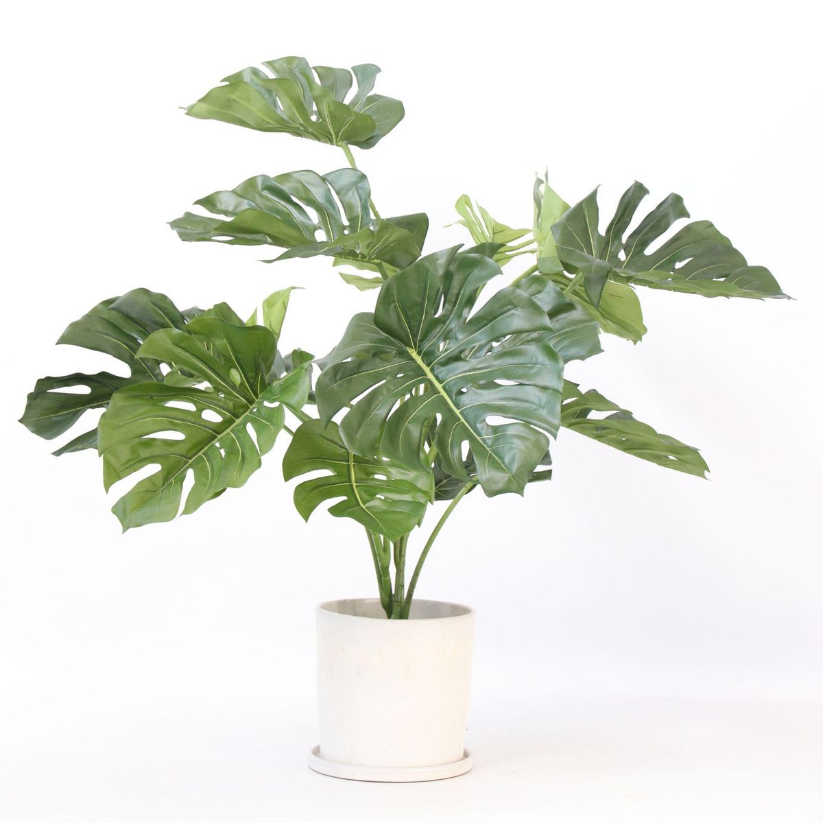 PLANT IN A BOX Monstera artificiel - Hauteur 85cm