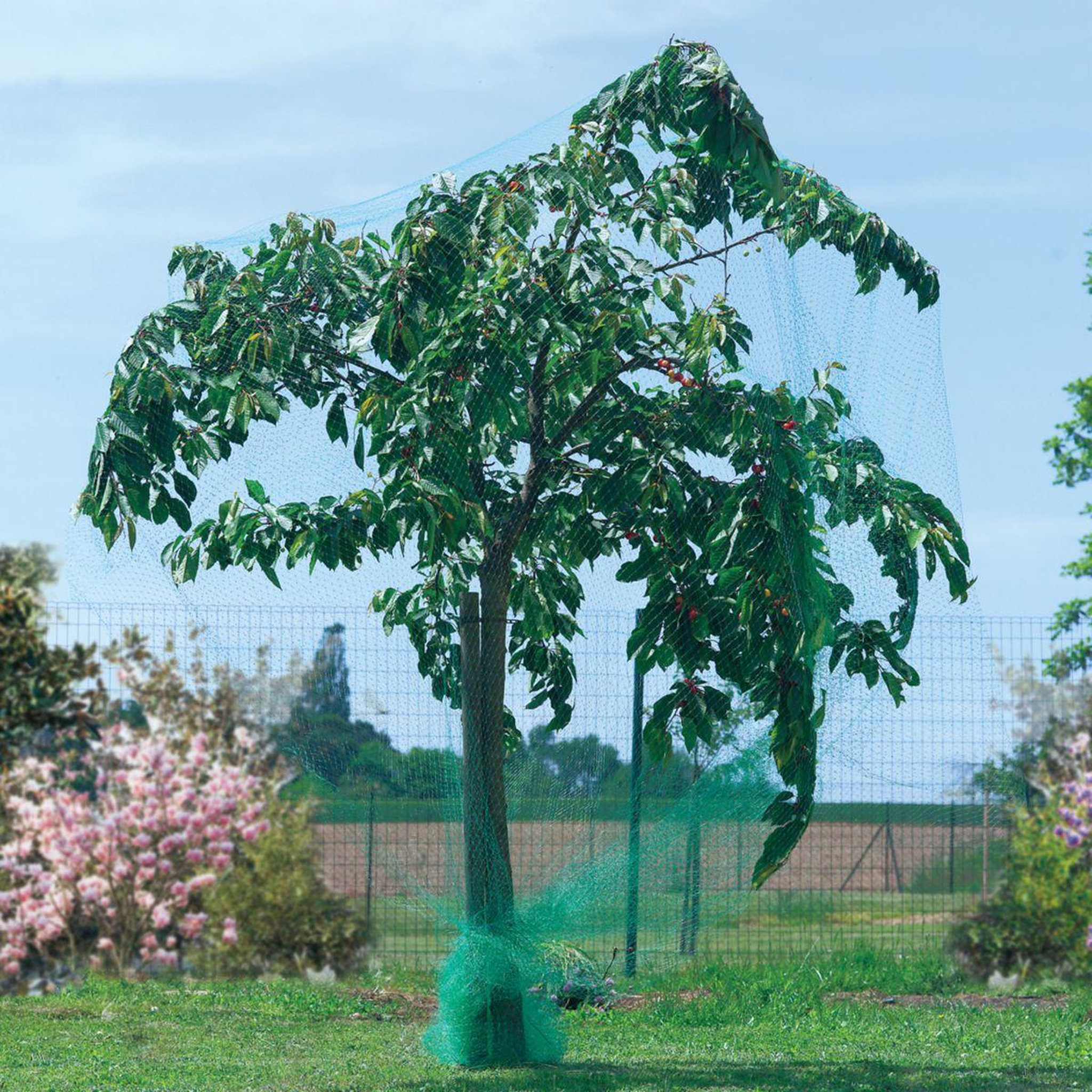 Nortene Filet de protection oiseaux  Birdnet  - 5 x 10 m - Vert