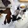 VIDAXL Tapis en peau de vache veritable Noir et blanc 150 x 170 cm