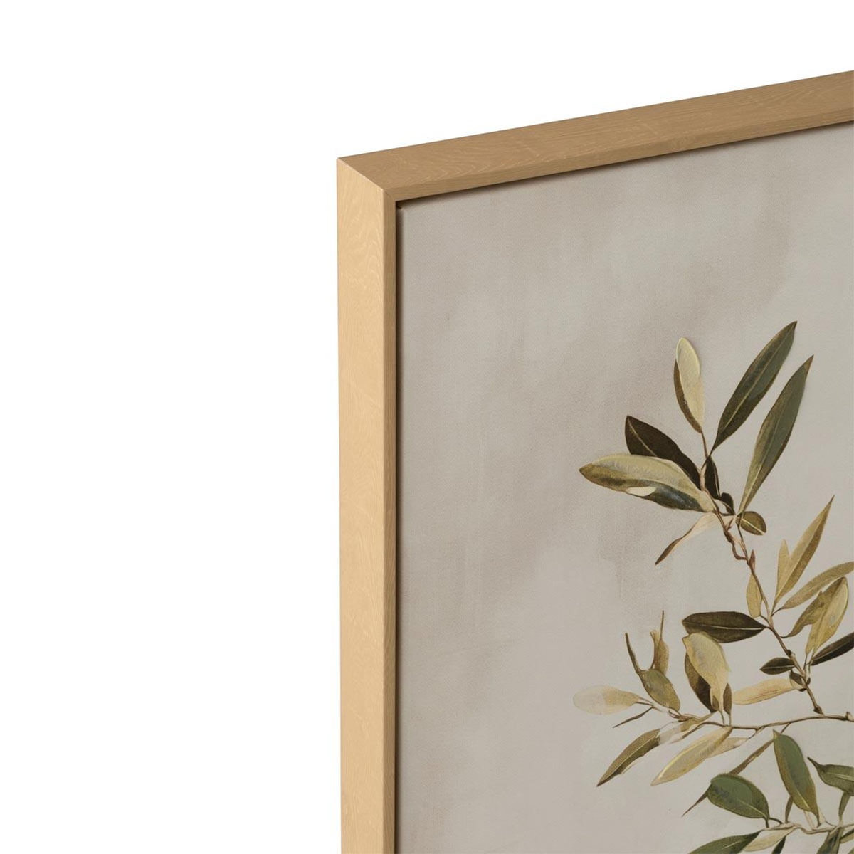 Paris Prix Tableau Déco Branche  Olivier  82x82cm Multicolore