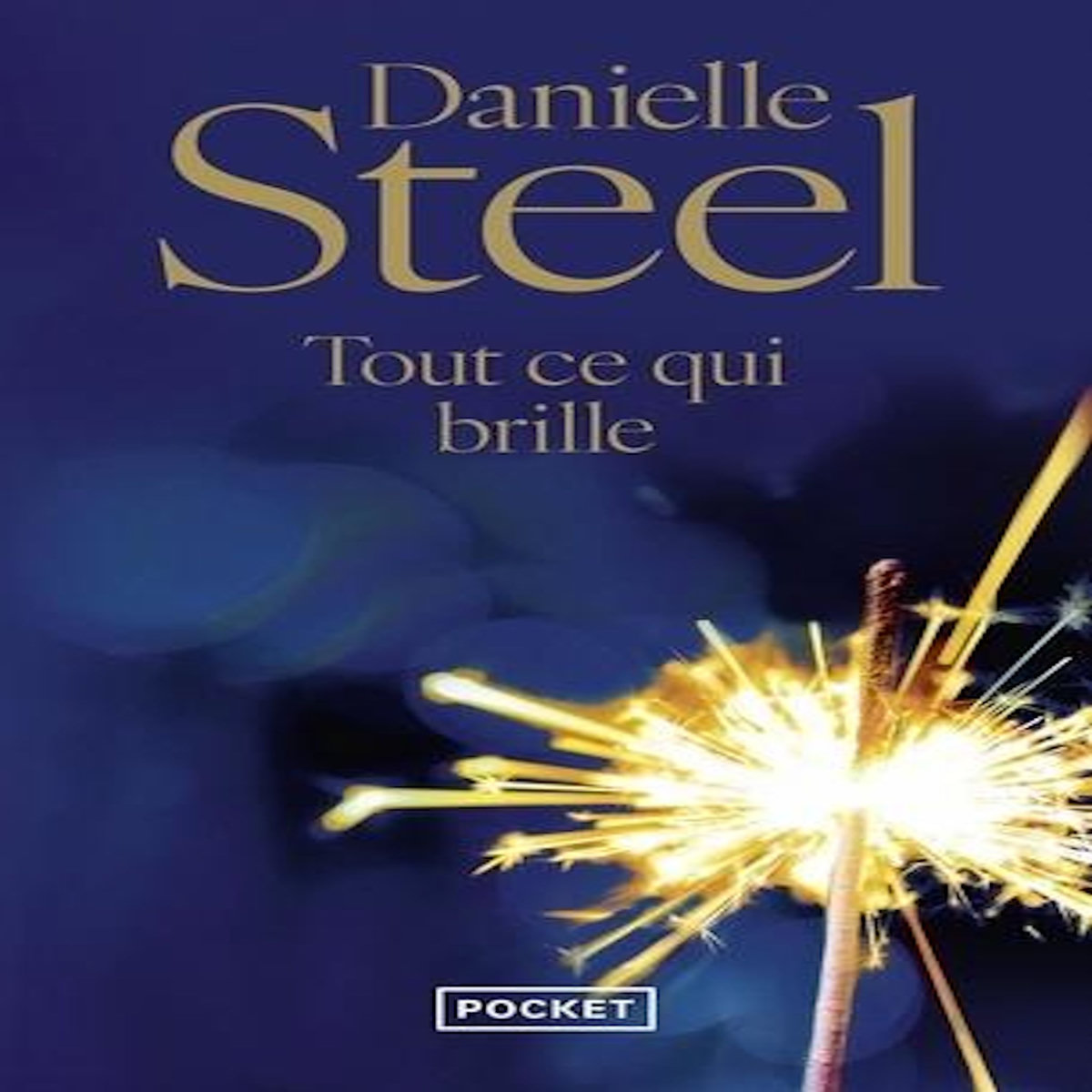 TOUT CE QUI BRILLE, Steel Danielle