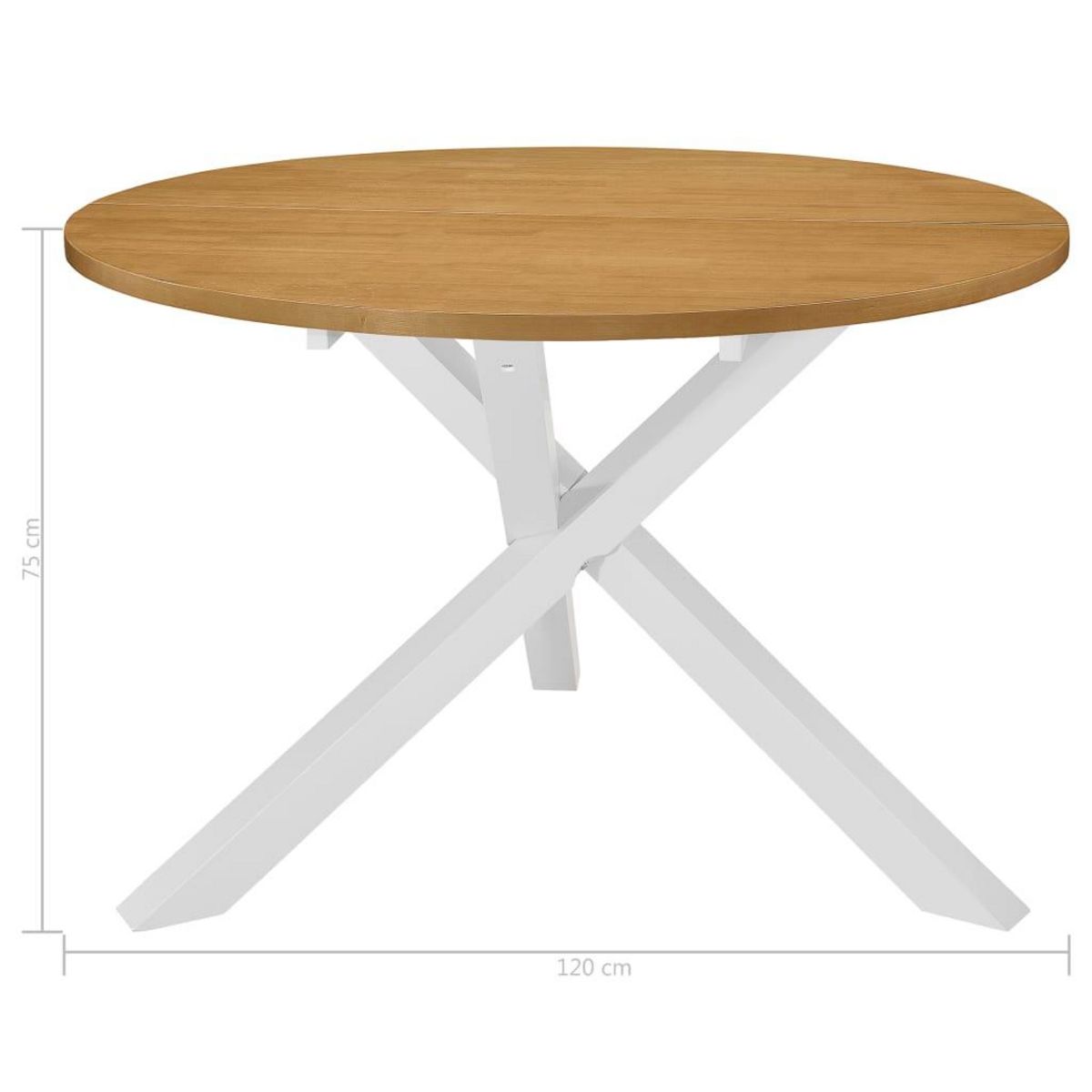 VIDAXL Table de salle a manger Blanc 120 x 75 cm MDF