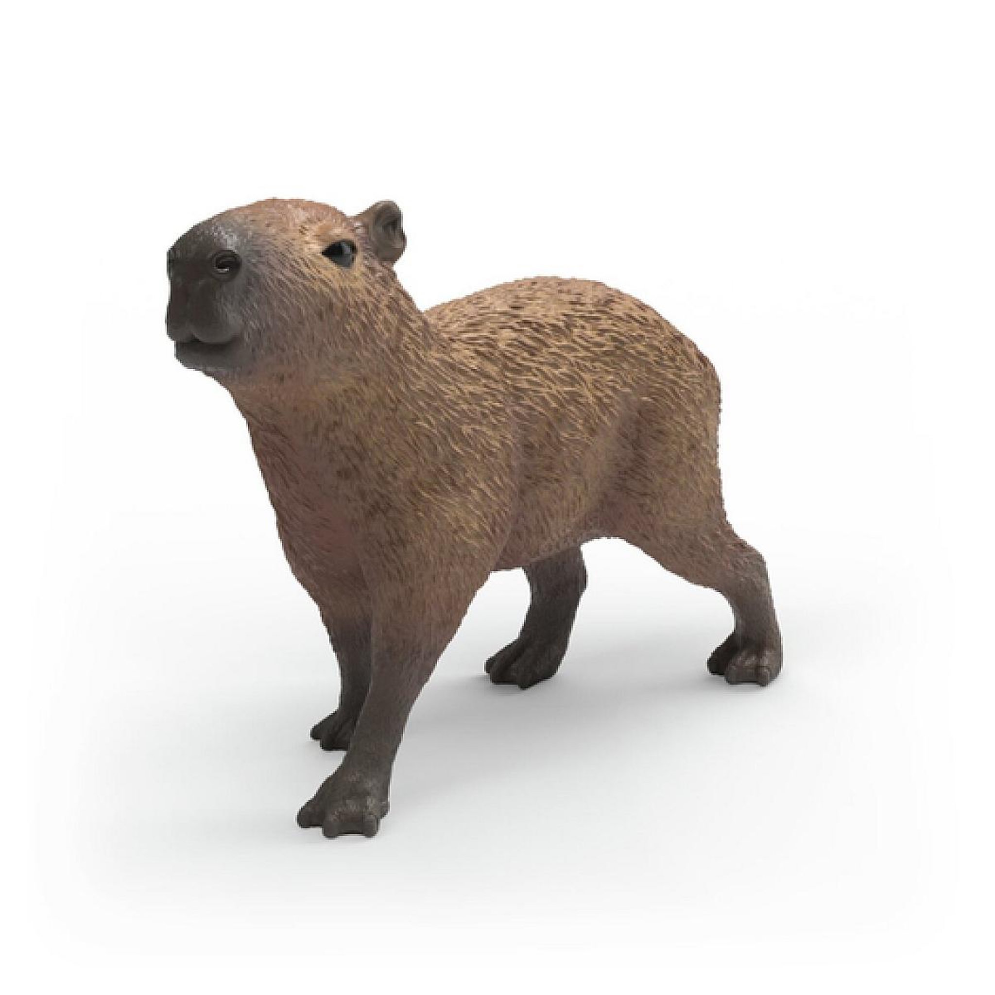 Schleich WILD LIFE Capybara