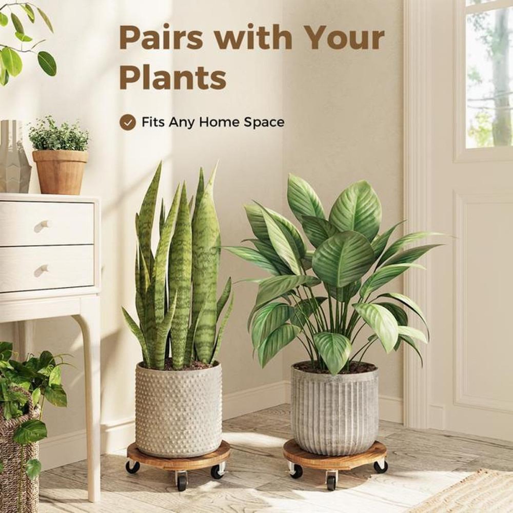 Voir la diapositive 6 : Set de 2 supports de plantes en bois renforcé avec roulettes silencieuses et freins, plateau Ø 30,5 cm