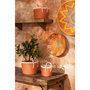 Voir la diapositive 4 : Paris Prix Lot de 3 Déco Murales  Branche Bananier  76cm Orange