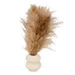 ATMOSPHERA Composition Pampa Artificielle  Glen  42cm Blanc