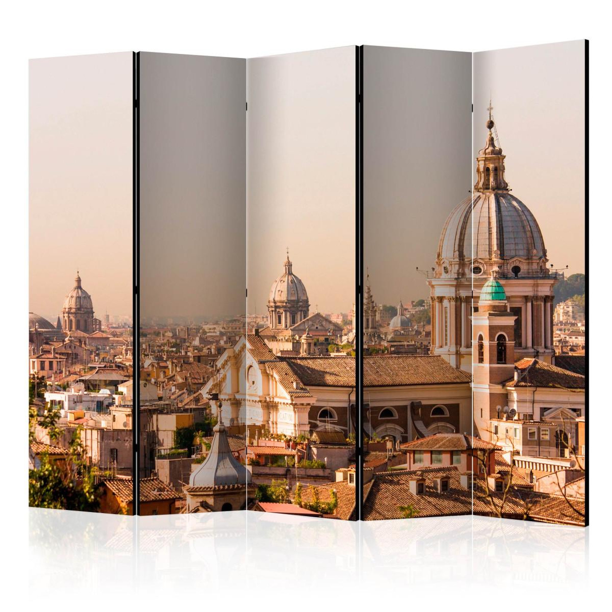 Paris Prix Paravent 5 volets  rome bird's eye view  172x225cm