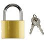 Voir la diapositive 3 : Paris Prix Cadenas de Sécurité  2 Clés  8cm Or
