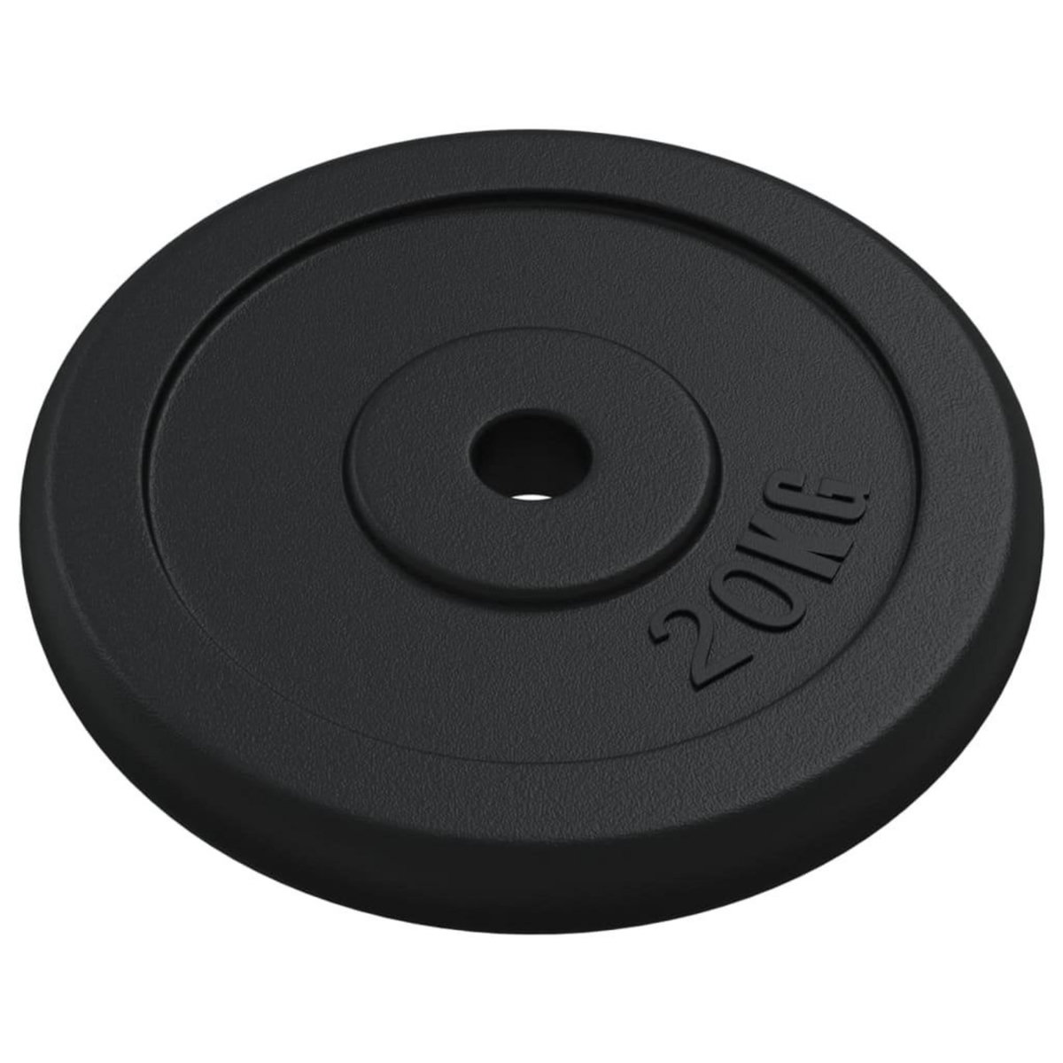 VIDAXL Plaque de poids 20 kg Fonte