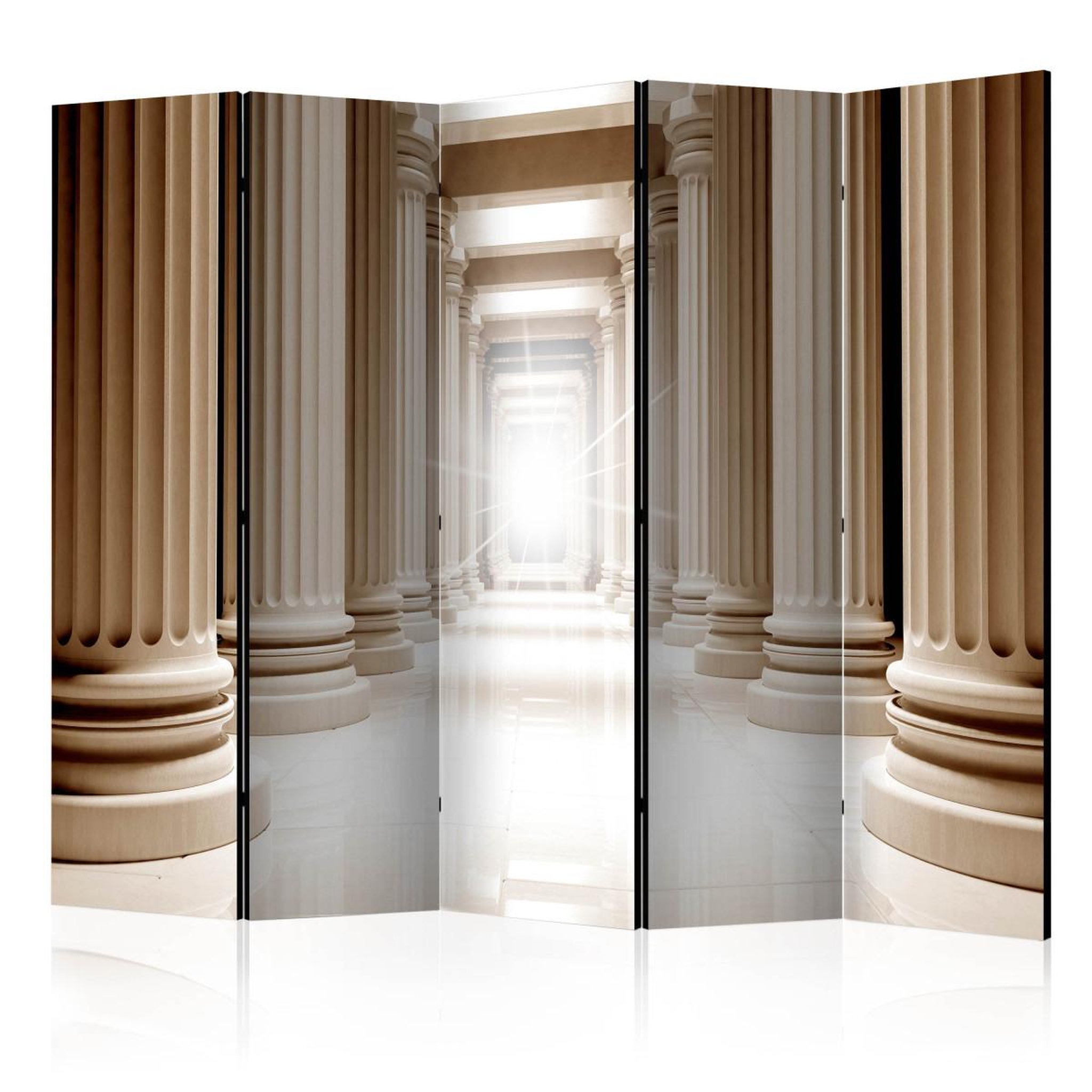 Paris Prix Paravent 5 volets  in the ancient pantheon  172x225cm