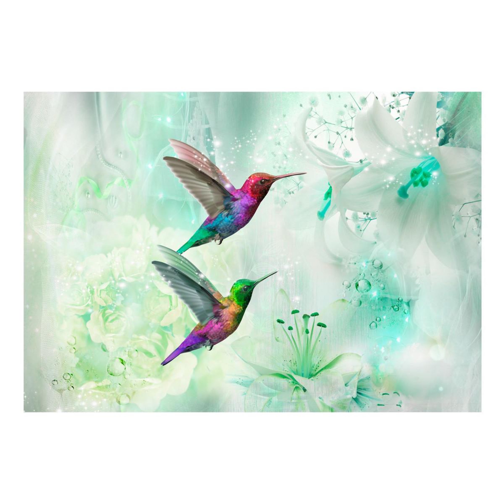 Voir la diapositive 2 : Paris Prix Papier peint  colourful hummingbirds green