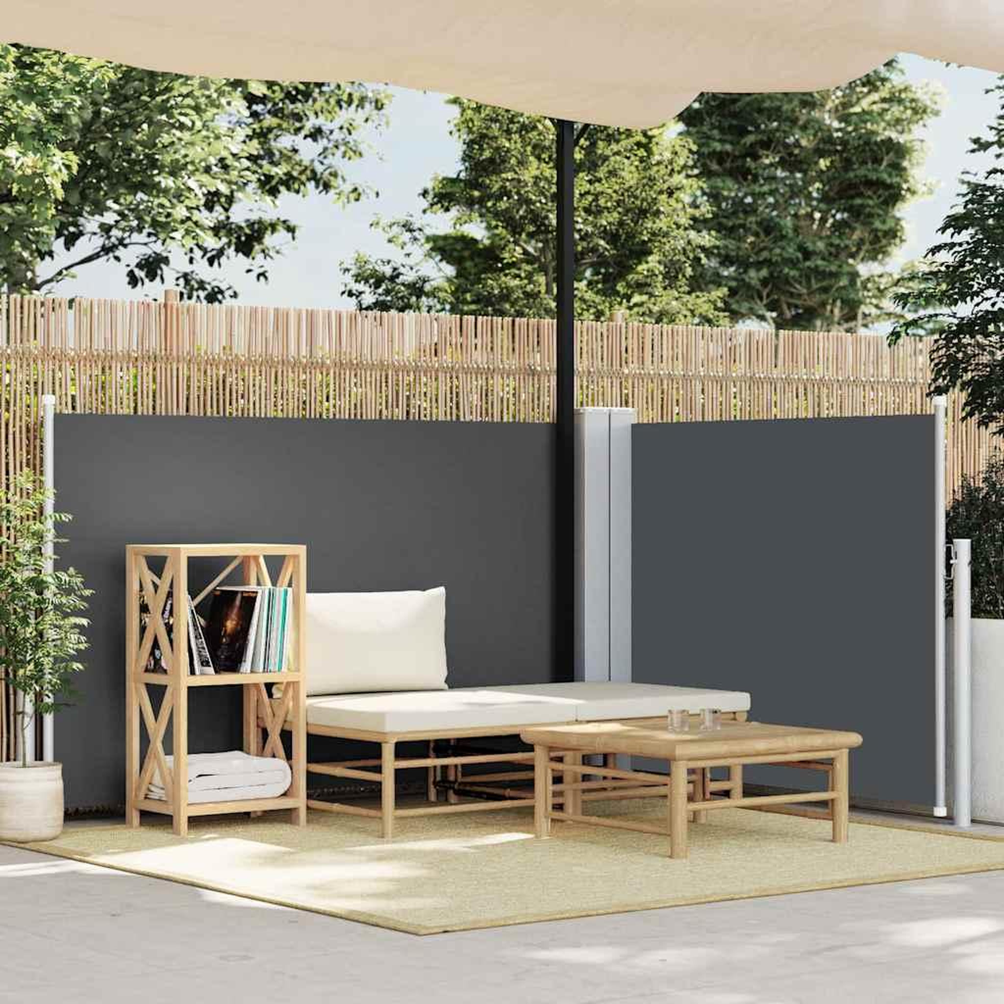 Voir la diapositive 2 : VIDAXL Auvent lateral retractable Anthracite 100 x 600 cm