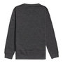 Voir la diapositive 2 : BILLABONG Sweat Gris/ Garçon Billabong Wavy