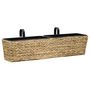 Voir la diapositive 2 : VIDAXL Jardinieres 2 pcs Jacinthe d'eau