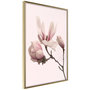 Voir la diapositive 1 : Paris Prix Affiche Murale Encadrée  Blooming Magnolias II