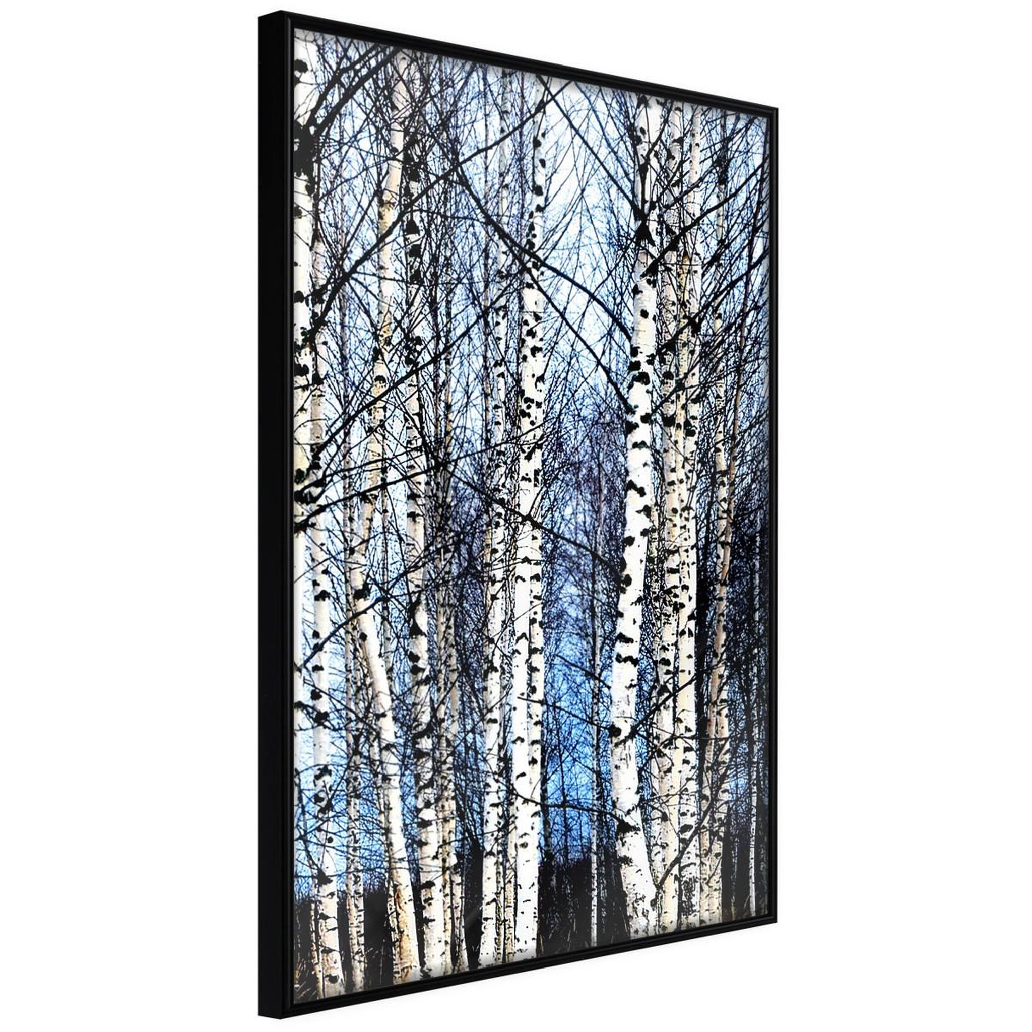 Paris Prix Affiche murale encadrée  winter birch trees. Coloris disponibles : Jaune, Noir