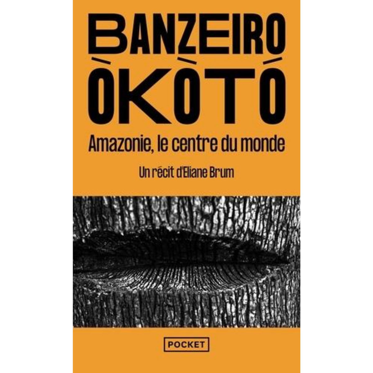 BANZEIRO OKOTO. AMAZONIE, LE CENTRE DU MONDE, Brum Eliane